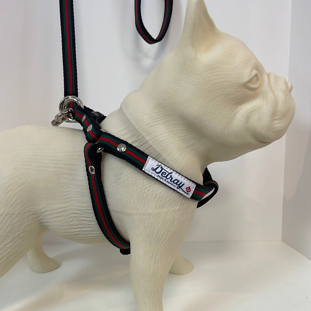 Delray Feed and Supply Designer- Inspired Adjustable Dog Collar – Delray  Feed & Supply